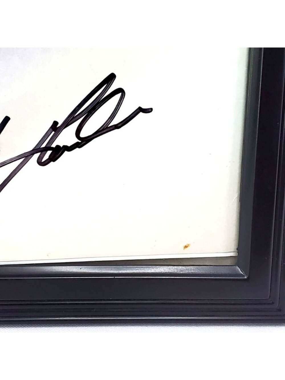 Jeff Gordon #24 DuPont Chevy Lumina ROOKIE YEAR 1994 Autographed Framed Picture - Picture 3 of 8